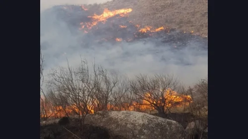 Incendios en Chilecito: el Gobierno denunció penalmente la intencionalidad del fuego en las sierras