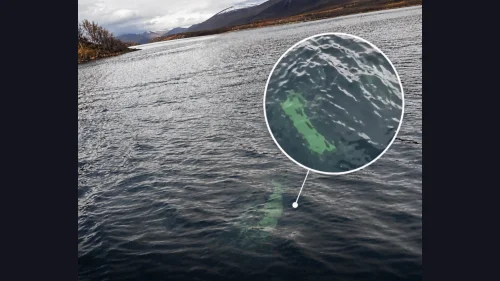 Una camioneta apareció sumergida en el Lago La Plata y crece la incertidumbre sobre su conductor