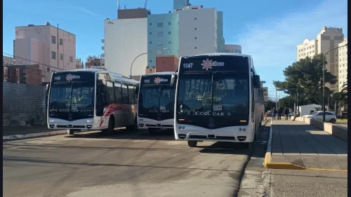Comodoro: ya se pueden consultar online los nuevos recorridos del transporte público