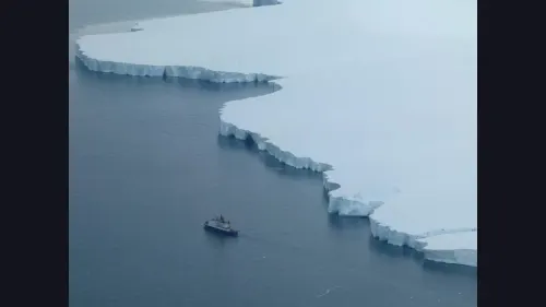 La Antártida pierde hielo marino y alcanza uno de sus registros más bajos