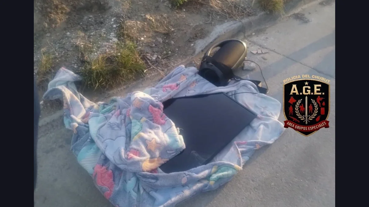 Comodoro: una mujer persiguió y redujo a un ladrón que le había robado el televisor
