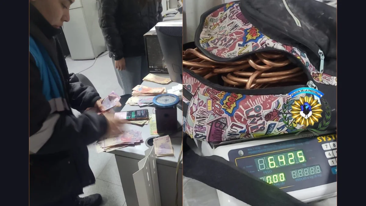 Atrapan a un delincuente escondido en el depósito de un comercio tras ser delatado por las cámaras de seguridad
