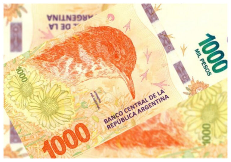 Chau billetes de animales: ¿cuando emitirán los nuevos billetes con figuras de personalidades ?