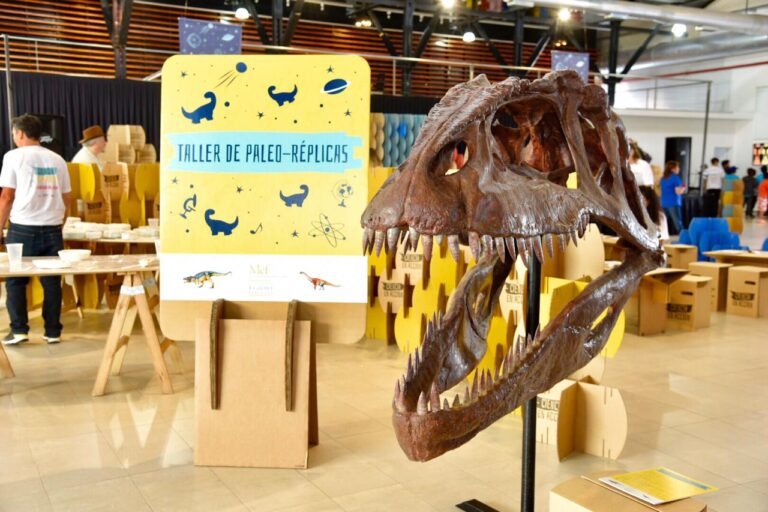 PAE junto al MEF promueven «Ciencia en Acción», una experiencia sensorial para toda la familia