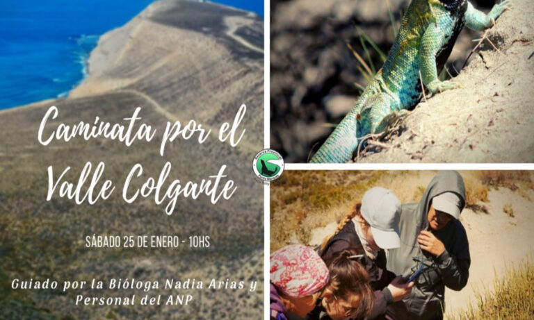 Cupo completo para la Caminata por el Valle Colgante este sábado