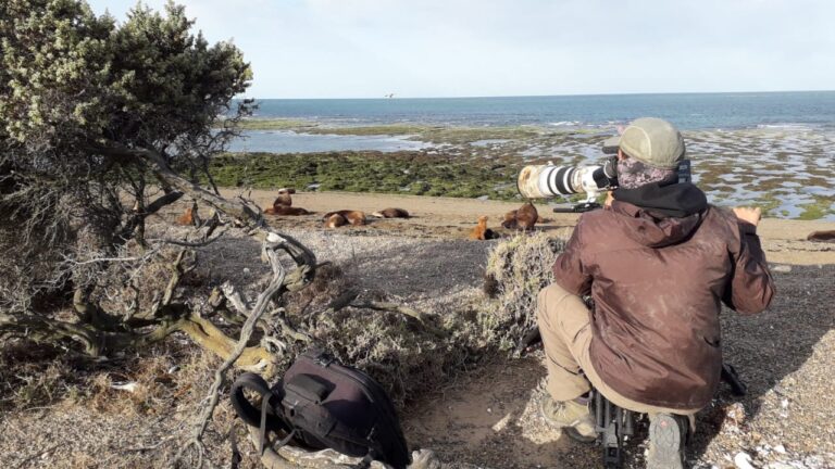 Productora alemana filma el documental «Argentina Salvaje» en Península Valdés