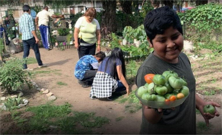 Alumnos de una escuela recuperaron un baldío abandonado y armaron una huerta