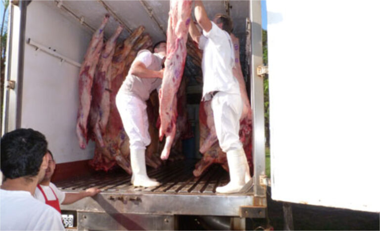 Trabajadores de carnicerías y frigoríficos ya no podrán descargar más de 25 kilos