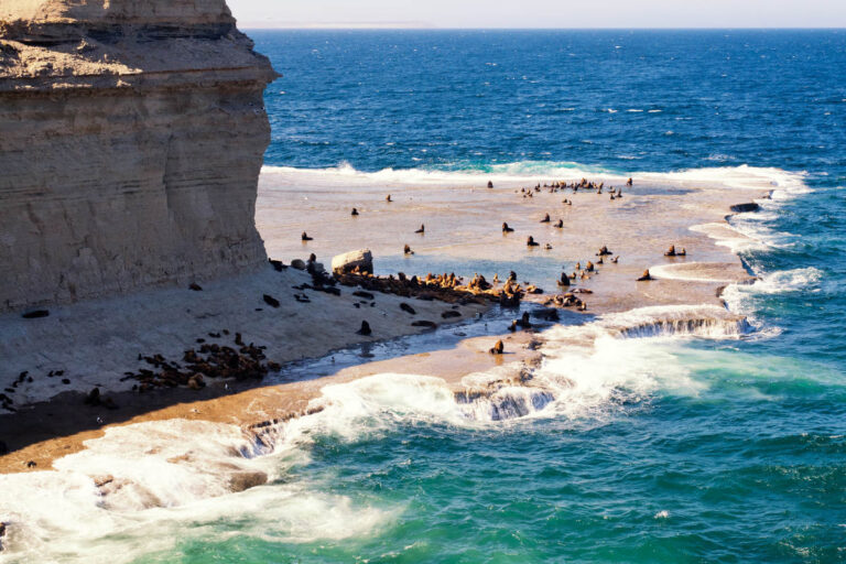 El Ministerio de Turismo filma imágenes promocionales de la costa chubutense