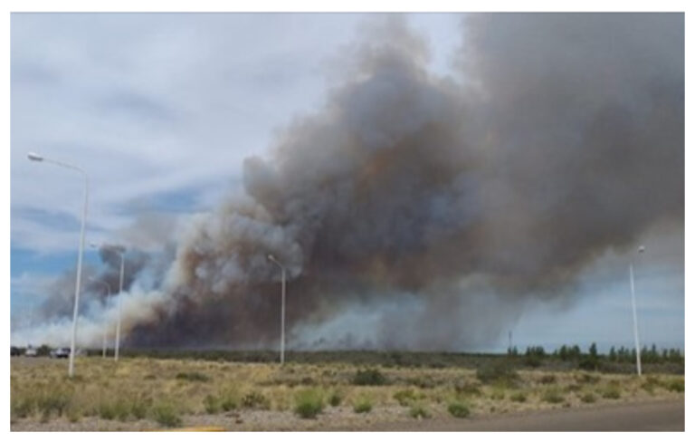 «El incendio en Puerto Madryn se encuentra controlado»