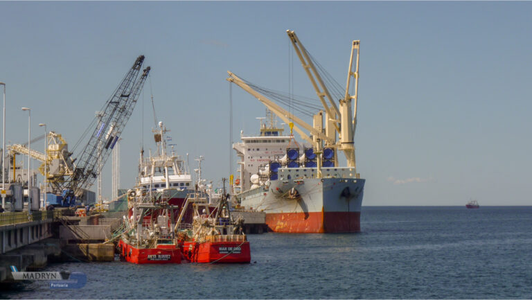 Puerto Madryn: Comenzaron a llegar los primeros buques poteros de la temporada