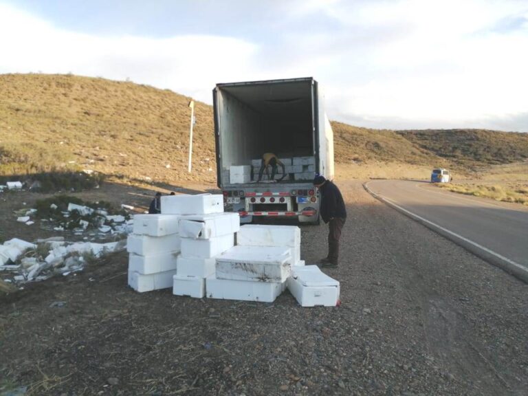 El SENASA devolvió a origen mas de 17.000 kilos de salmón chileno