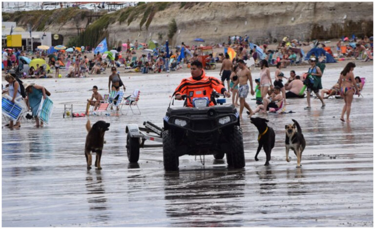 Construirán caniles en la playa para resguardar a los bañistas de los perros sueltos