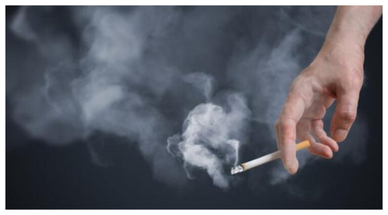 Buscan que Trelew sea una ciudad con «espacios de aire limpio»