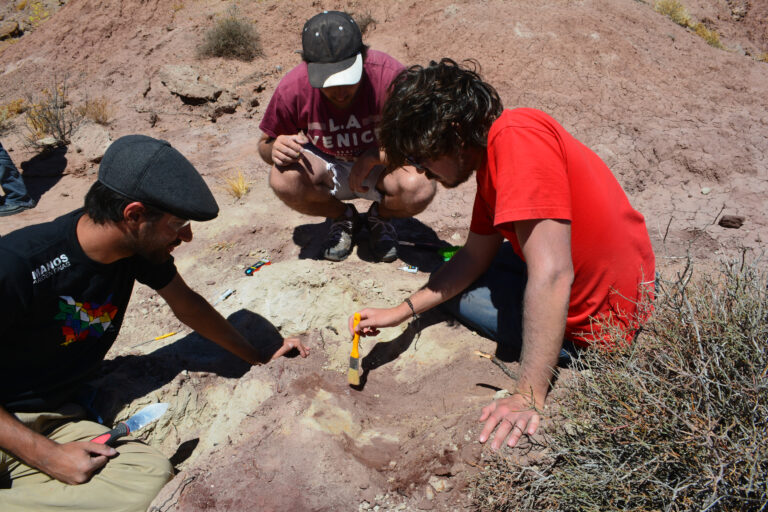 Descubren un dinosaurio carnívoro que habitó la Patagonia hace 90 millones de años