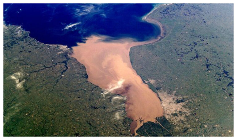 El río Uruguay presenta excesos de metales, aceites, excremento y plaguicidas