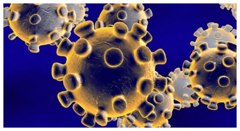 Coronavirus: «La Argentina está en una cadena de atención profunda en el tema»