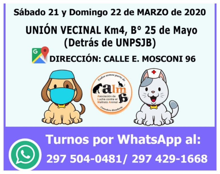 Campaña de esterilIzación de ALMA: Conocé cómo podes hacer para castrar a tu mascota