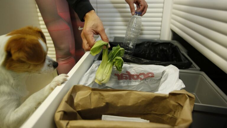 «No todo es basura»: La nueva campaña de Urbana para este 2020