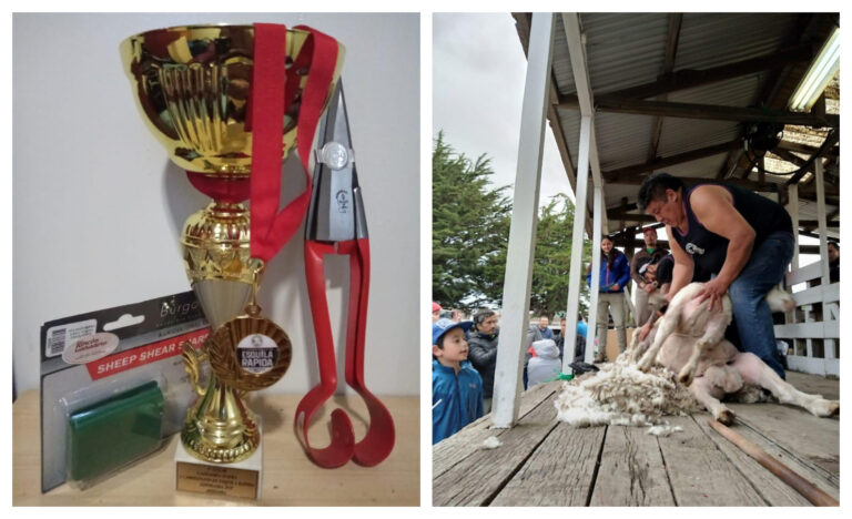 Esquilador de Prolana Chubut ganó competencia de esquila a tijera en Punta Arenas