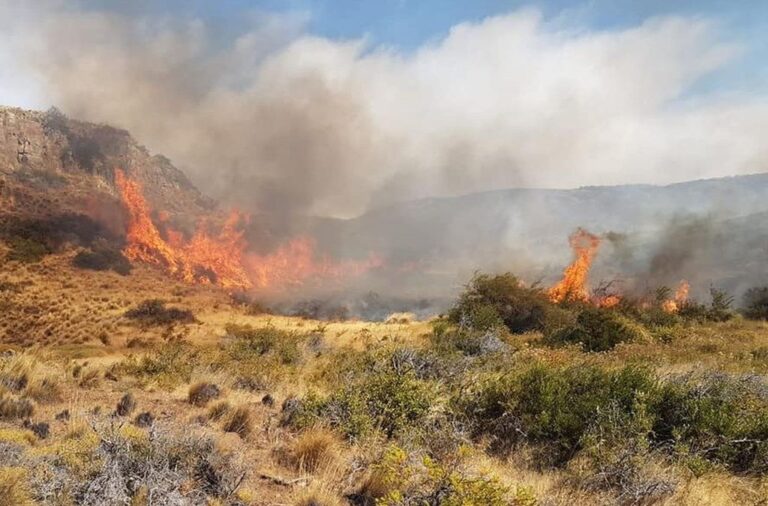 Bosques recuerda que las quemas están prohibidas y serán consideradas una falta muy grave