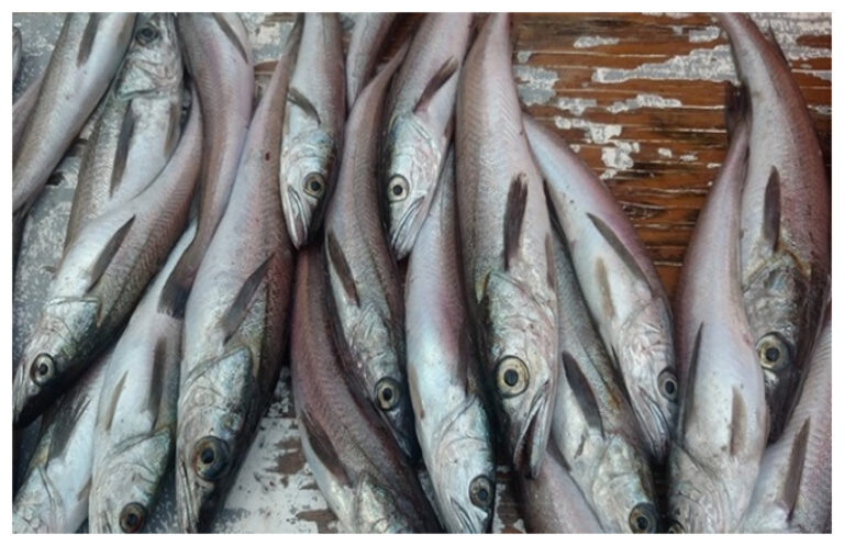 Pescado: beneficios y sugerencias para su consumo en Semana Santa