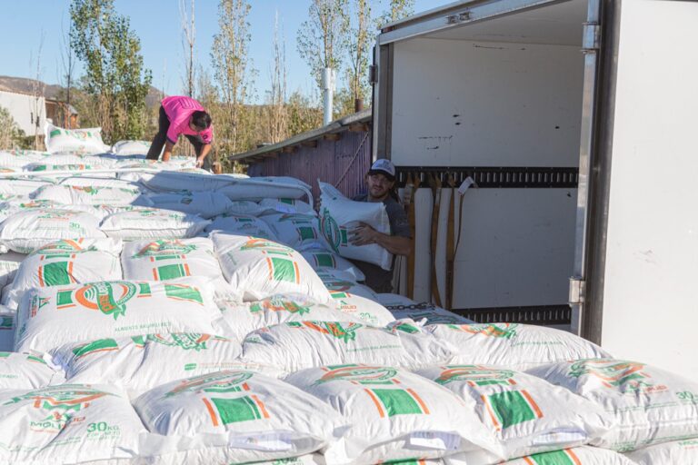 El Municipio entregó más de 29 mil kilos de alimento balanceado a productores locales