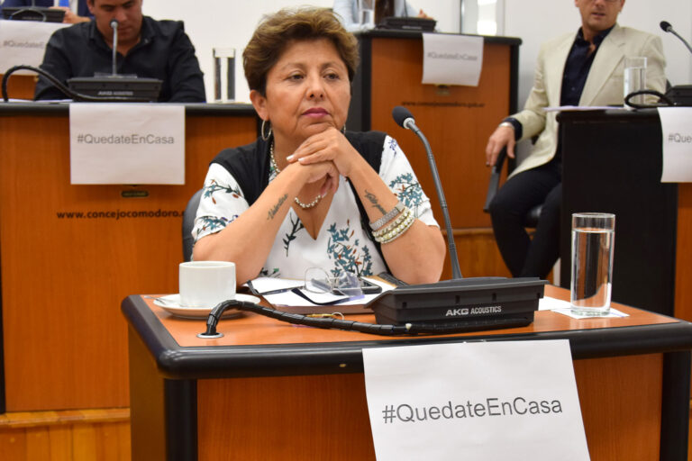Desde el Concejo se busca destrabar fondos de la SCPL durante la Emergencia Sanitaria