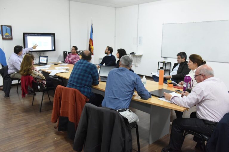 Emergencia Sanitaria Covid- 19: El Poder Ejecutivo explicó el destino del fondo especial