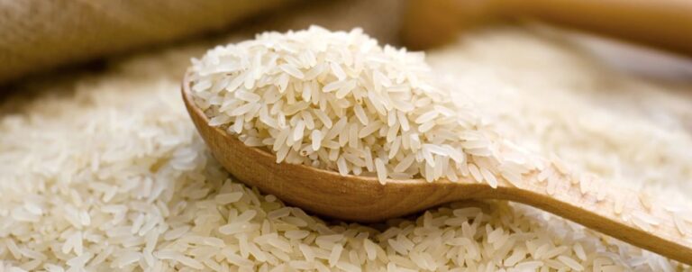 31 de Octubre: ¿Por qué se celebra hoy el Dia Internacional del Arroz?