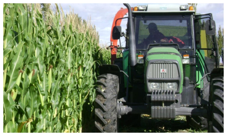 Recuerdan recomendaciones al sector agrícola del Chubut por el Covid19