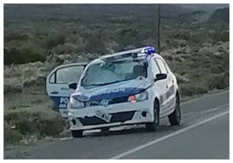 Dos policías heridos al chocar el patrullero en que circulaban contra un caballo