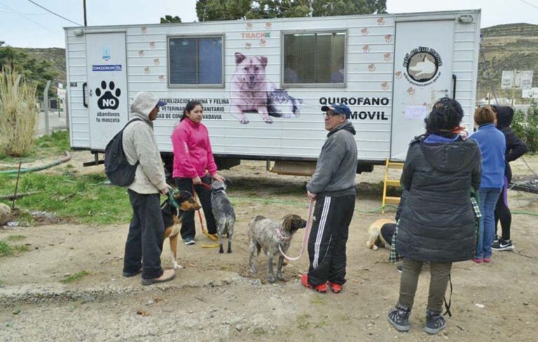 El jueves se restablece el servicio de esterilización gratuita en Comodoro