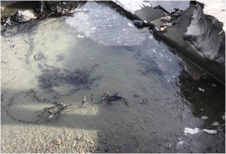 El municipio de Rada Tilly reconoce un contenido elevado de bacterias del agua que se descarga al mar
