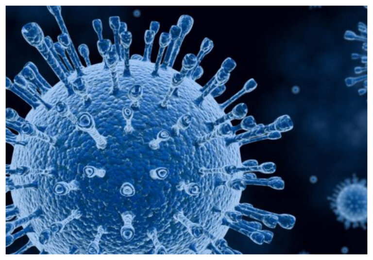Coronavirus: hay 20.884 personas con infección en curso en Argentina