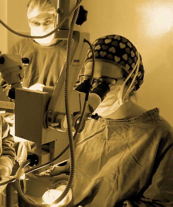 Se realizo el primer trasplante de corneas en La Española