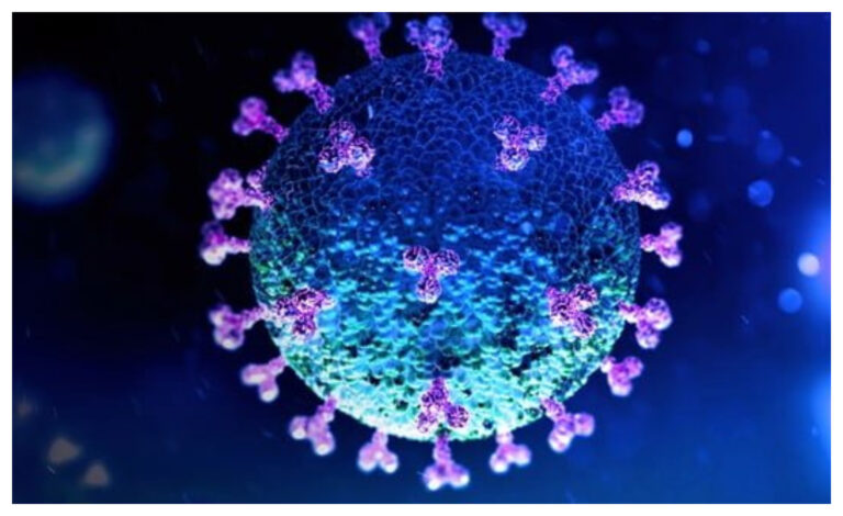 Coronavirus: 904 nuevos contagios en las últimas 24 horas y la edad promedio es 40 años