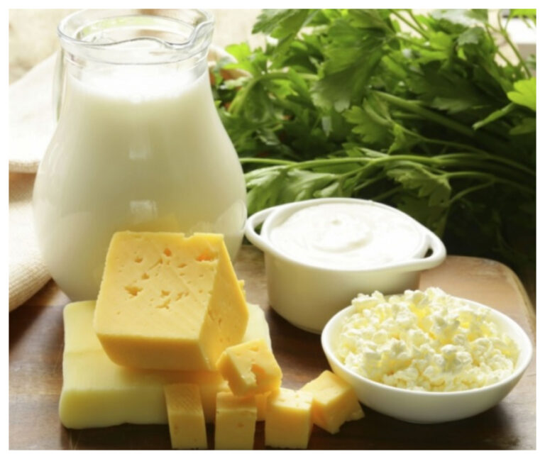 ¿Cuáles son los 8 alimentos con más calcio que la leche?