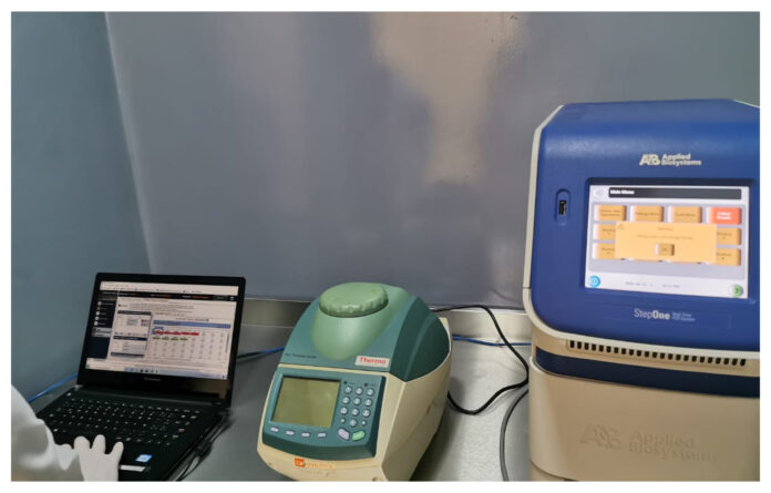 0000138047