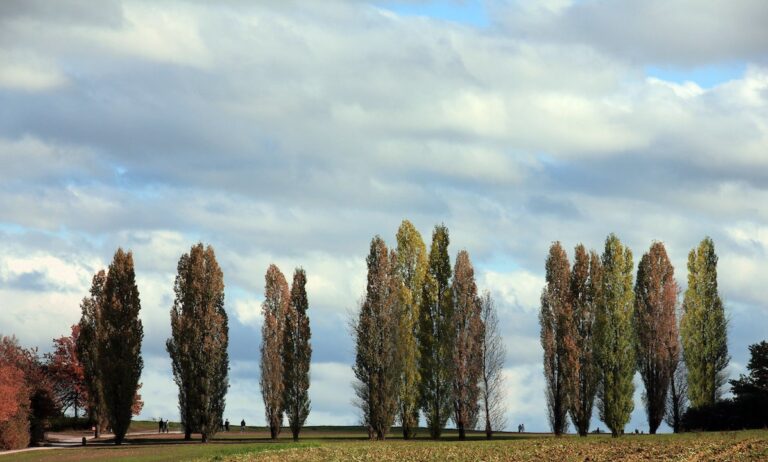 El «Vivero Encuentro» apuesta a un sistema de riego sustentable para forestar la ciudad