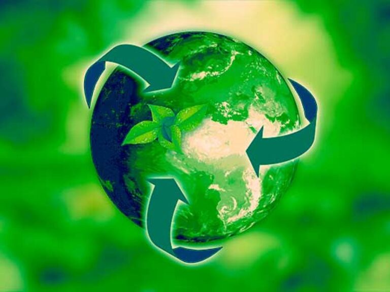 «Día Mundial del Ambiente»: Celebran una década del Programa de Promotores Ambientales Regionales