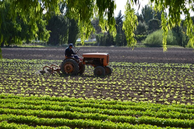 El Gobierno de la Provincia prorroga el cobro de cuotas de créditos para productores