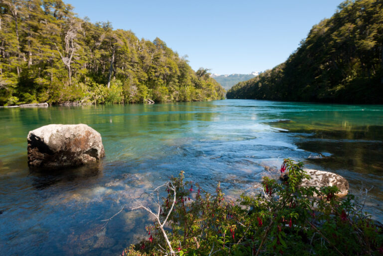 El Parque Nacional Los Alerces se reencuentra con sus vecinos más cercanos 