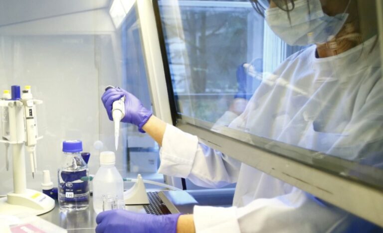 Investigadores argentinos neutralizan el coronavirus en laboratorio con suero de caballos