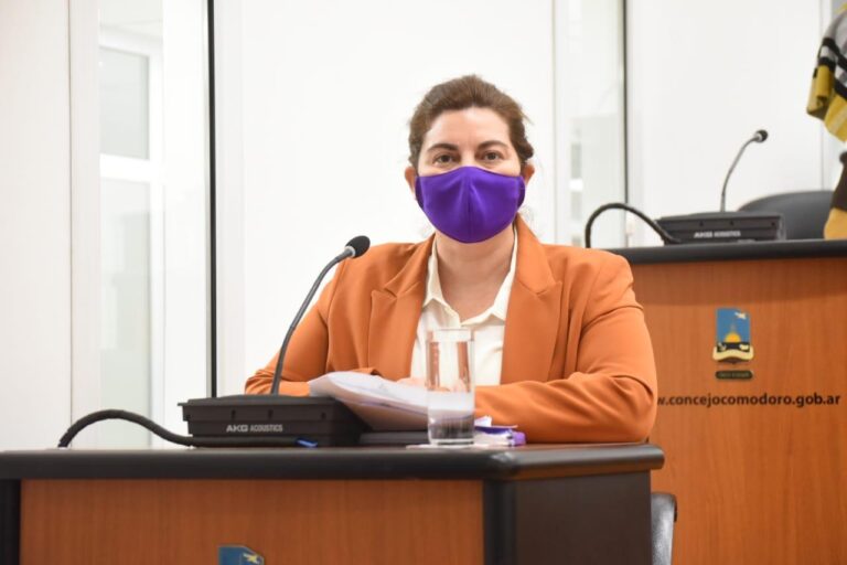 El Concejo aprobó el acceso directo a ayudas alimentarias