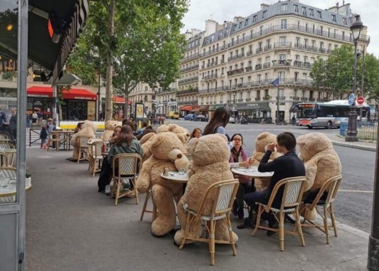 Francia: restaurante usa osos de peluche para mantener el distanciamiento social