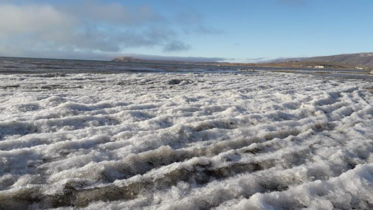 Por las intensas heladas se congeló el oleaje que bordea el Lago Argentino