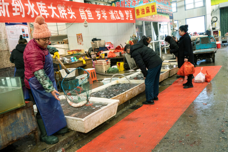 Tras el coronavirus, China cerrará gradualmente los mercados donde venden aves vivas