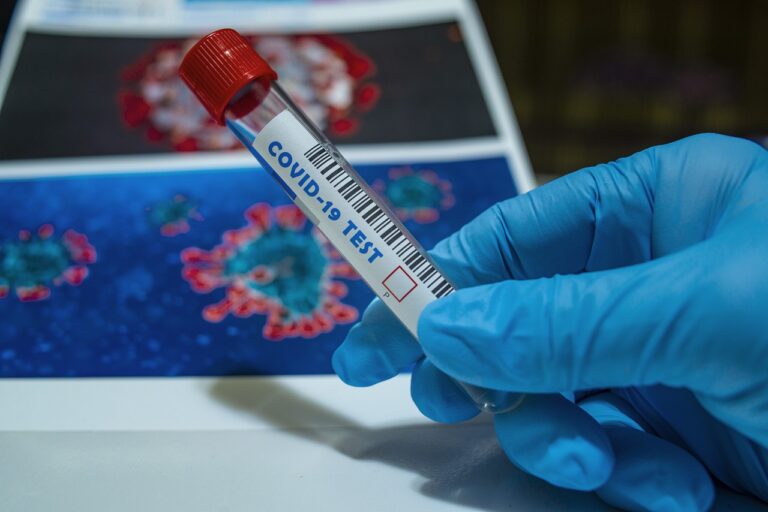 Coronavirus: la OMS aseguró que «no habrá regreso a la normalidad en el futuro previsible»