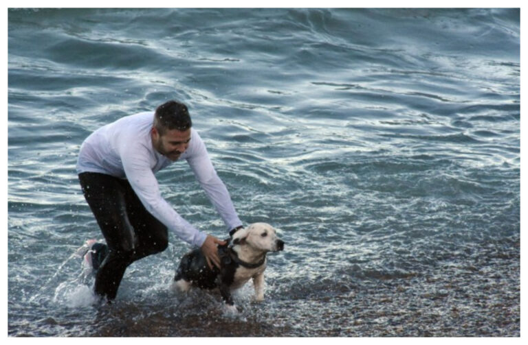 Pese a las bajas temperaturas, un hombre ingresó al mar y salvó a un perro